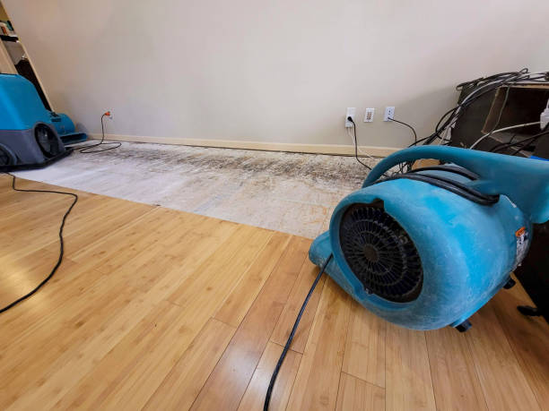 Professional Water Removal technician working in Lake Odessa, MI